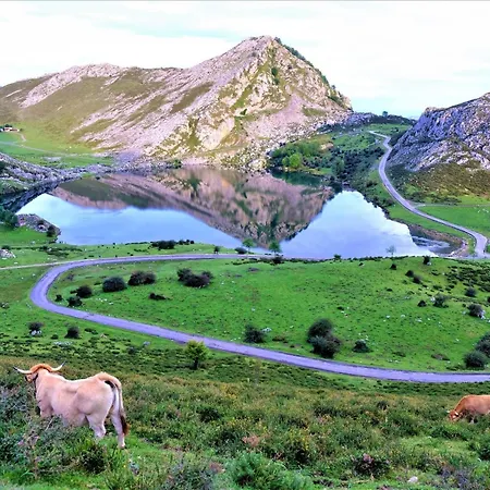 El Rubio Del Cuera Confort Y Piscina Apartment *